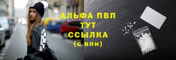 трава Ельня