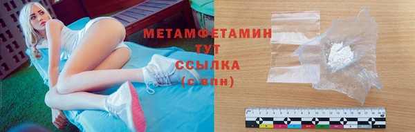 трава Ельня