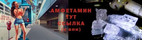 трава Ельня