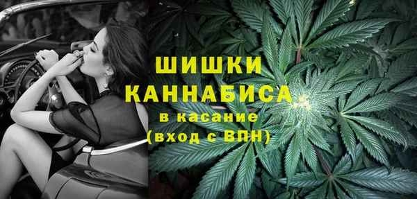 трава Ельня