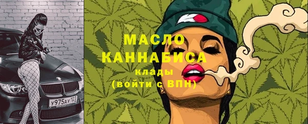 трава Ельня