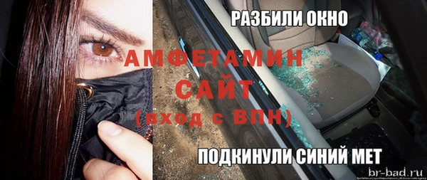 трава Ельня