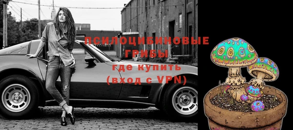 бутират Тайга