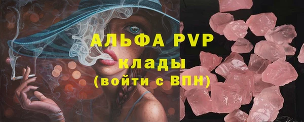 трава Ельня