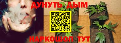 кокаин Моздок