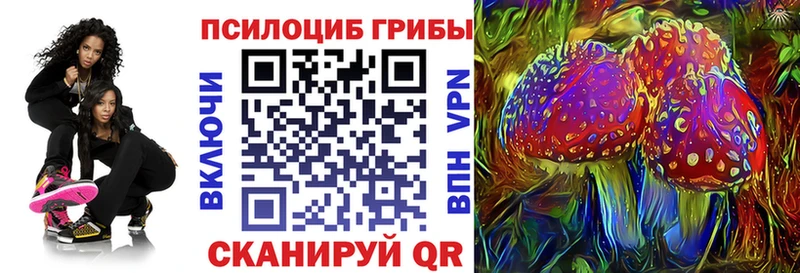 мориарти телеграм  Чернушка  Псилоцибиновые грибы Psilocybine cubensis 