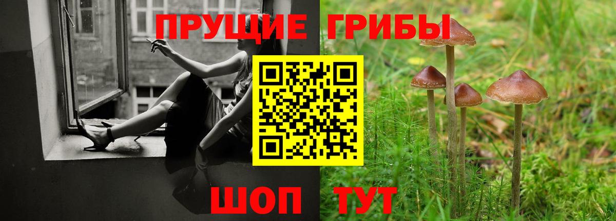 Псилоцибиновые грибы мицелий  наркотики  Чернушка  Вход с VPN 