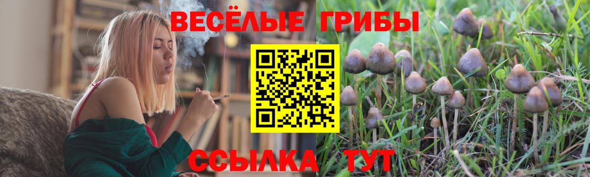 Галлюциногенные грибы MAGIC MUSHROOMS Чернушка